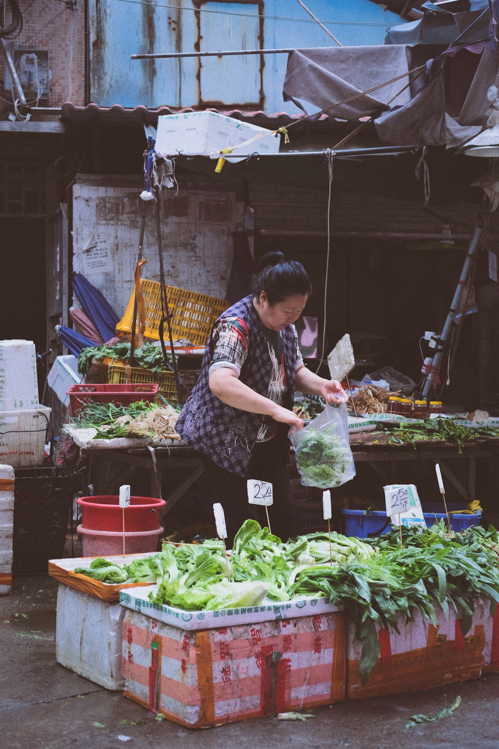 A market vendor packing fresh green vegetables